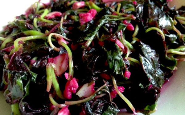 �Ȳ˵Ĺ�Ч������ ���Ȳ˵ĺô�������Щ